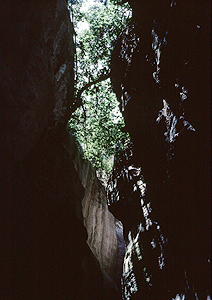 LEICA M3, SUMMICRON 2/50